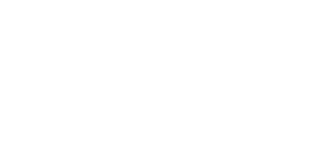 95 cigars & spirits